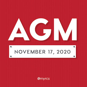 AGM November 17, 2020